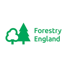Forestry England